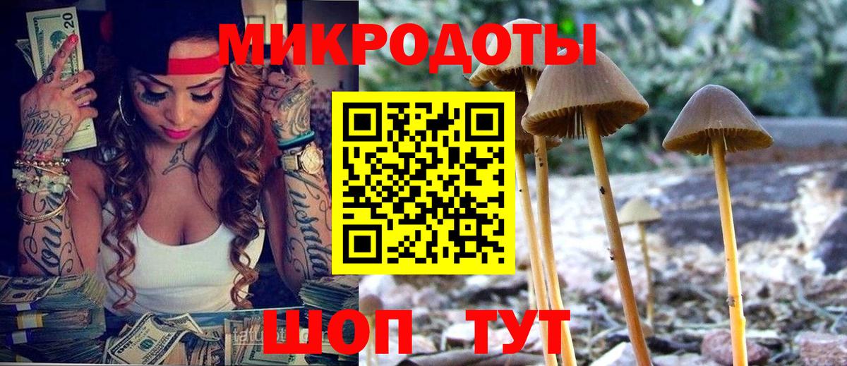 Псилоцибиновые грибы ЛСД Куйбышев