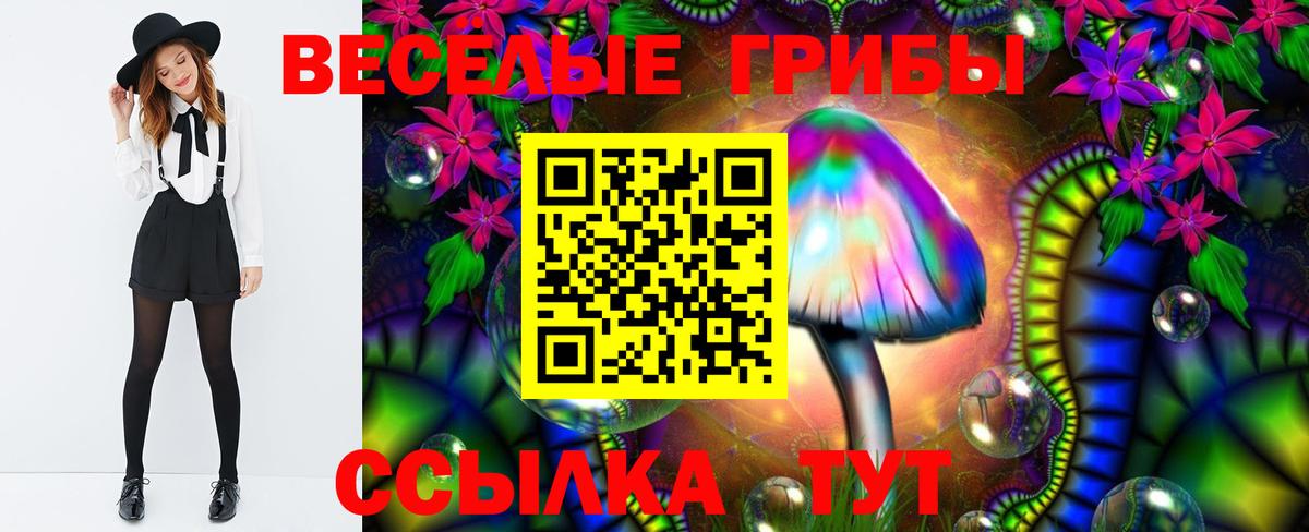 Псилоцибиновые грибы ЛСД  Вход с VPN  Псилоцибиновые грибы Magic Shrooms  Куйбышев 